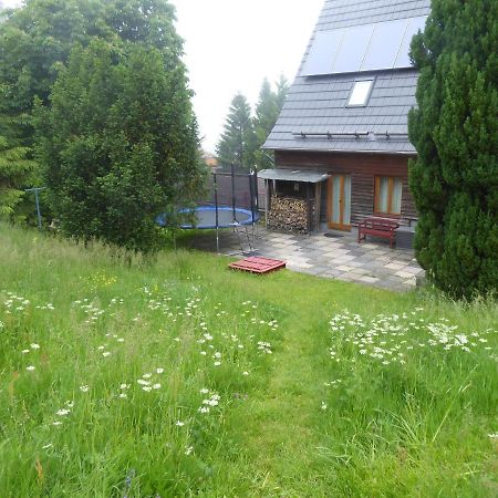Haus Bergwiese - Fuer Naturfreunde, Familien, Wanderer غيهلبرغ المظهر الخارجي الصورة